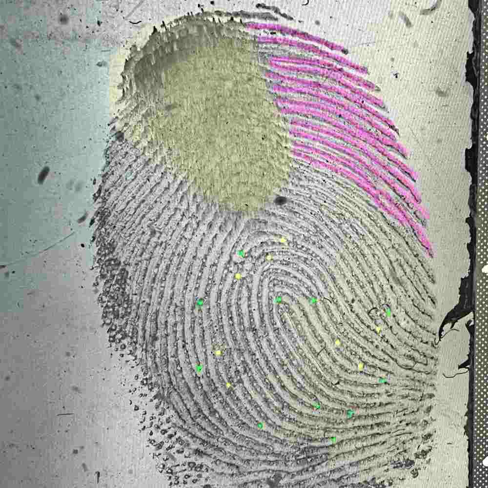 Ashpreet Kaur, Michigan State Police